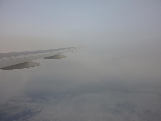 P1000701.jpg